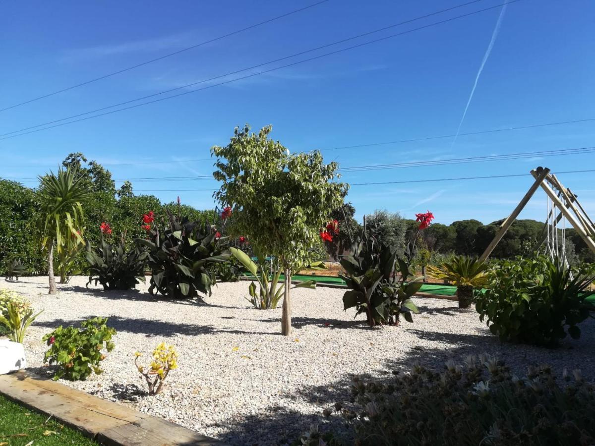 Quinta Das Palmeiras Quarteira Buitenkant foto